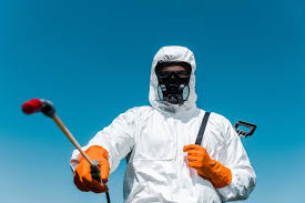 Best Organic or Eco-Friendly Pest Control  in Reed City, MI